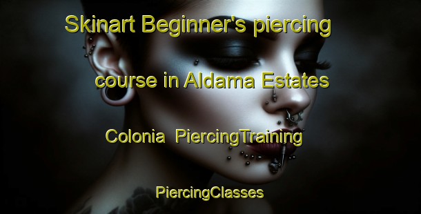 Skinart Beginner's piercing course in Aldama Estates Colonia | #PiercingTraining #PiercingClasses #SkinartTraining-United States