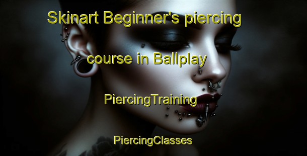 Skinart Beginner's piercing course in Ballplay | #PiercingTraining #PiercingClasses #SkinartTraining-United States