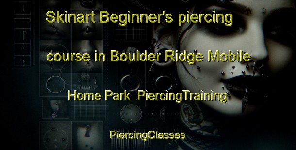 Skinart Beginner's piercing course in Boulder Ridge Mobile Home Park | #PiercingTraining #PiercingClasses #SkinartTraining-United States