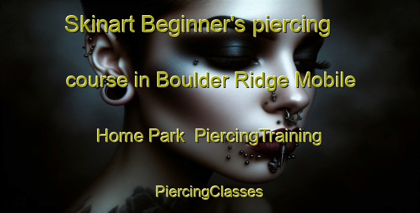 Skinart Beginner's piercing course in Boulder Ridge Mobile Home Park | #PiercingTraining #PiercingClasses #SkinartTraining-United States