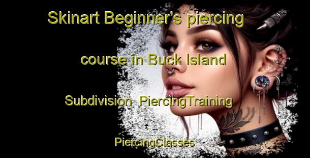 Skinart Beginner's piercing course in Buck Island Subdivision | #PiercingTraining #PiercingClasses #SkinartTraining-United States