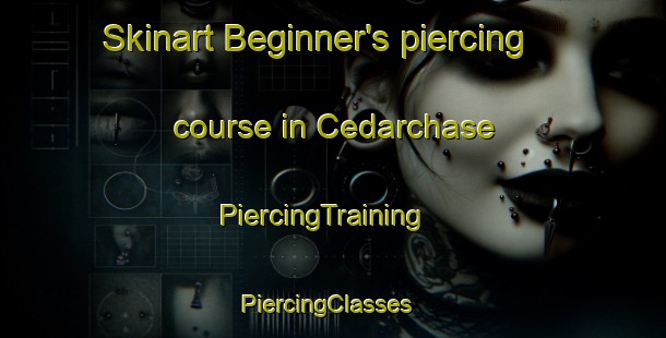 Skinart Beginner's piercing course in Cedarchase | PiercingTraining | PiercingClasses | SkinartTraining-United States