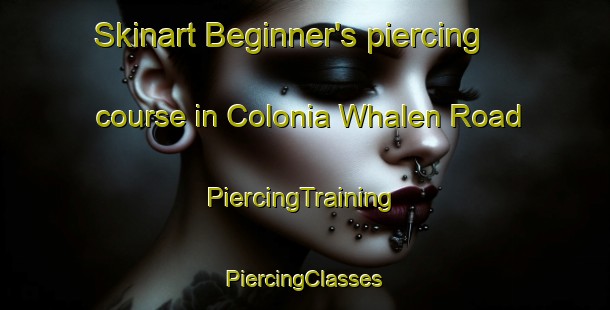 Skinart Beginner's piercing course in Colonia Whalen Road | #PiercingTraining #PiercingClasses #SkinartTraining-United States