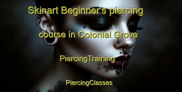Skinart Beginner's piercing course in Colonial Grove | PiercingTraining | PiercingClasses | SkinartTraining-United States