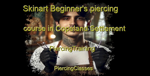 Skinart Beginner's piercing course in Copeland Settlement | PiercingTraining | PiercingClasses | SkinartTraining-United States
