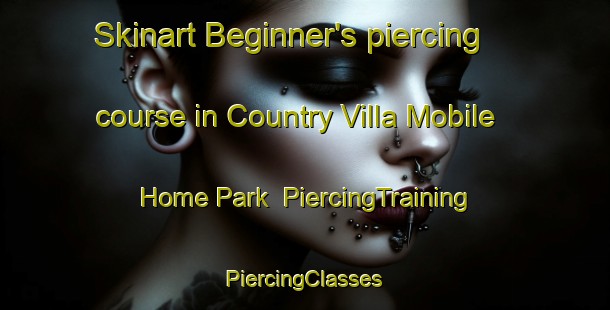 Skinart Beginner's piercing course in Country Villa Mobile Home Park | #PiercingTraining #PiercingClasses #SkinartTraining-United States