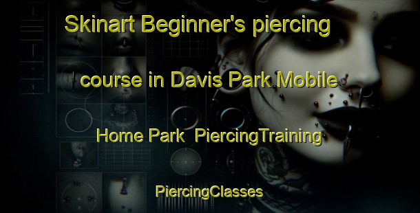 Skinart Beginner's piercing course in Davis Park Mobile Home Park | #PiercingTraining #PiercingClasses #SkinartTraining-United States