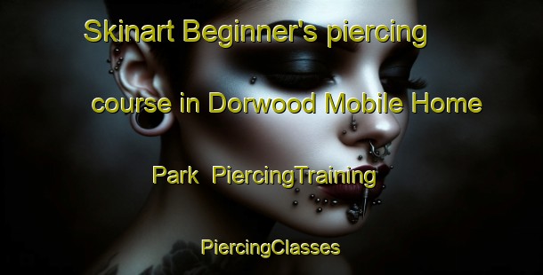 Skinart Beginner's piercing course in Dorwood Mobile Home Park | #PiercingTraining #PiercingClasses #SkinartTraining-United States