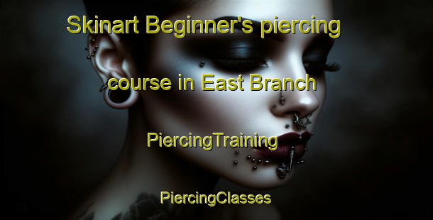 Skinart Beginner's piercing course in East Branch | #PiercingTraining #PiercingClasses #SkinartTraining-United States