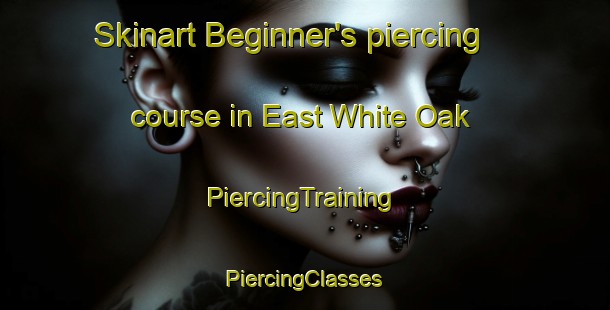 Skinart Beginner's piercing course in East White Oak | #PiercingTraining #PiercingClasses #SkinartTraining-United States