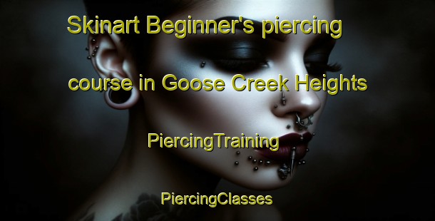 Skinart Beginner's piercing course in Goose Creek Heights | #PiercingTraining #PiercingClasses #SkinartTraining-United States