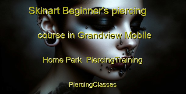 Skinart Beginner's piercing course in Grandview Mobile Home Park | #PiercingTraining #PiercingClasses #SkinartTraining-United States