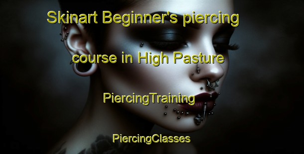 Skinart Beginner's piercing course in High Pasture | #PiercingTraining #PiercingClasses #SkinartTraining-United States