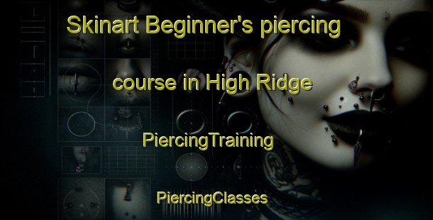 Skinart Beginner's piercing course in High Ridge | PiercingTraining | PiercingClasses | SkinartTraining-United States
