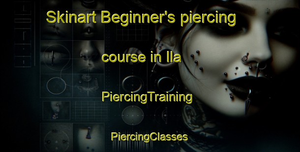 Skinart Beginner's piercing course in Ila | #PiercingTraining #PiercingClasses #SkinartTraining-United States