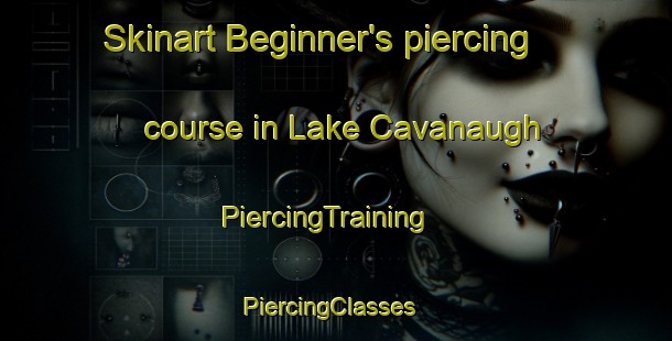 Skinart Beginner's piercing course in Lake Cavanaugh | PiercingTraining | PiercingClasses | SkinartTraining-United States