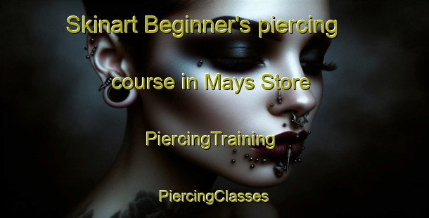 Skinart Beginner's piercing course in Mays Store | #PiercingTraining #PiercingClasses #SkinartTraining-United States