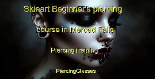Skinart Beginner's piercing course in Merced Falls | PiercingTraining | PiercingClasses | SkinartTraining-United States