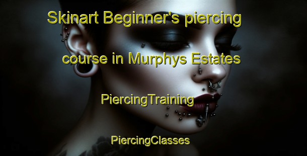 Skinart Beginner's piercing course in Murphys Estates | PiercingTraining | PiercingClasses | SkinartTraining-United States
