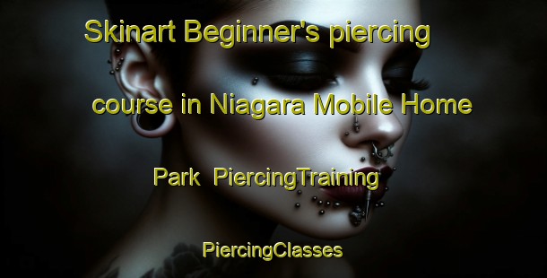 Skinart Beginner's piercing course in Niagara Mobile Home Park | #PiercingTraining #PiercingClasses #SkinartTraining-United States