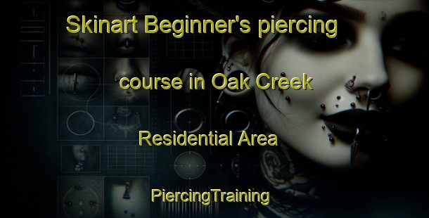 Skinart Beginner's piercing course in Oak Creek Residential Area | #PiercingTraining #PiercingClasses #SkinartTraining-United States