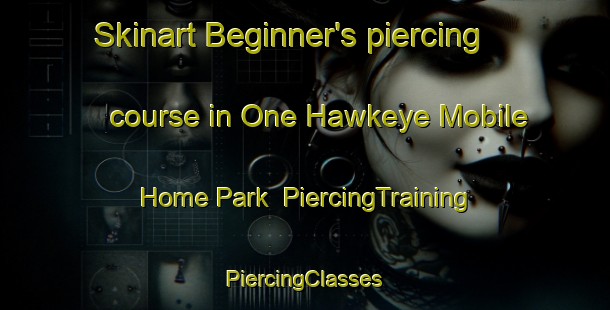 Skinart Beginner's piercing course in One Hawkeye Mobile Home Park | #PiercingTraining #PiercingClasses #SkinartTraining-United States