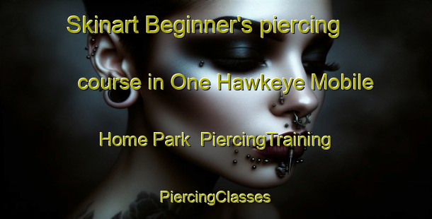 Skinart Beginner's piercing course in One Hawkeye Mobile Home Park | #PiercingTraining #PiercingClasses #SkinartTraining-United States