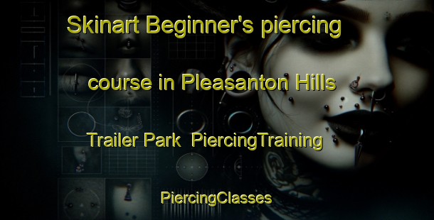 Skinart Beginner's piercing course in Pleasanton Hills Trailer Park | #PiercingTraining #PiercingClasses #SkinartTraining-United States