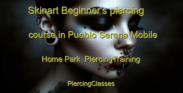 Skinart Beginner's piercing course in Pueblo Serena Mobile Home Park | #PiercingTraining #PiercingClasses #SkinartTraining-United States