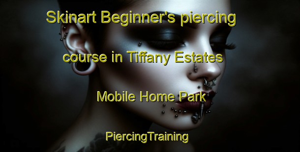 Skinart Beginner's piercing course in Tiffany Estates Mobile Home Park | #PiercingTraining #PiercingClasses #SkinartTraining-United States