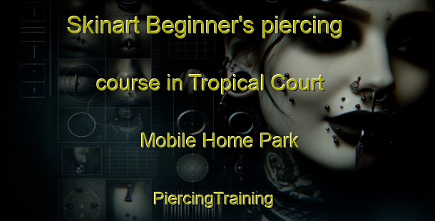 Skinart Beginner's piercing course in Tropical Court Mobile Home Park | #PiercingTraining #PiercingClasses #SkinartTraining-United States