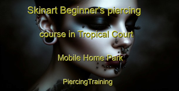 Skinart Beginner's piercing course in Tropical Court Mobile Home Park | #PiercingTraining #PiercingClasses #SkinartTraining-United States