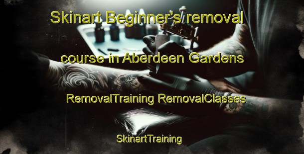 Skinart Beginner's removal course in Aberdeen Gardens | #RemovalTraining #RemovalClasses #SkinartTraining-United States