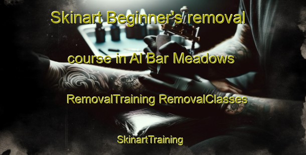 Skinart Beginner's removal course in Al Bar Meadows | #RemovalTraining #RemovalClasses #SkinartTraining-United States