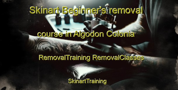 Skinart Beginner's removal course in Algodon Colonia | #RemovalTraining #RemovalClasses #SkinartTraining-United States