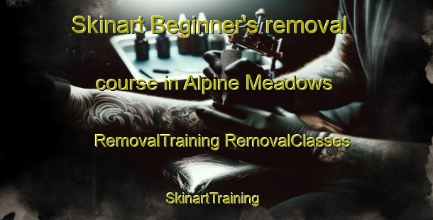 Skinart Beginner's removal course in Alpine Meadows | #RemovalTraining #RemovalClasses #SkinartTraining-United States