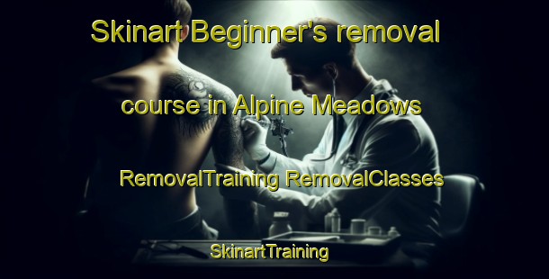 Skinart Beginner's removal course in Alpine Meadows | #RemovalTraining #RemovalClasses #SkinartTraining-United States