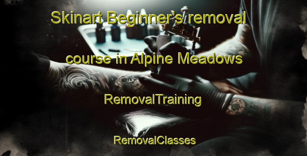 Skinart Beginner's removal course in Alpine Meadows | RemovalTraining | RemovalClasses | SkinartTraining-United States