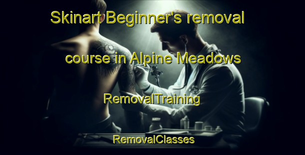 Skinart Beginner's removal course in Alpine Meadows | RemovalTraining | RemovalClasses | SkinartTraining-United States
