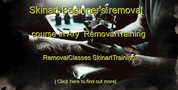 Skinart Beginner's removal course in Ary | #RemovalTraining #RemovalClasses #SkinartTraining-United States