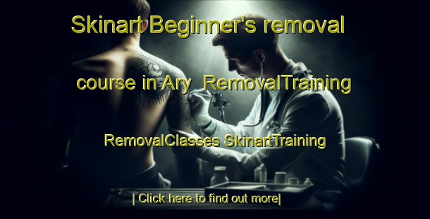 Skinart Beginner's removal course in Ary | #RemovalTraining #RemovalClasses #SkinartTraining-United States