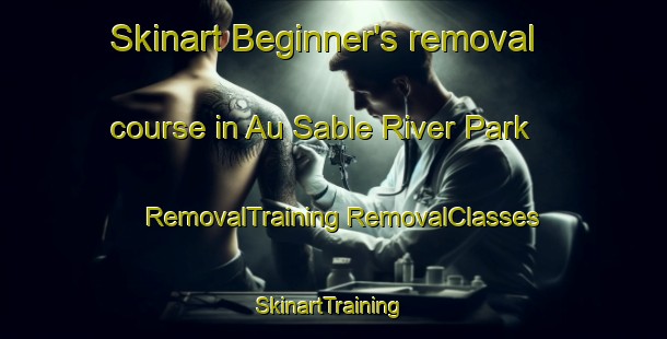 Skinart Beginner's removal course in Au Sable River Park | #RemovalTraining #RemovalClasses #SkinartTraining-United States