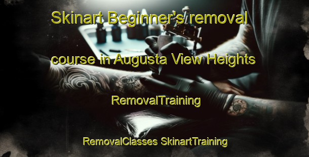 Skinart Beginner's removal course in Augusta View Heights | #RemovalTraining #RemovalClasses #SkinartTraining-United States