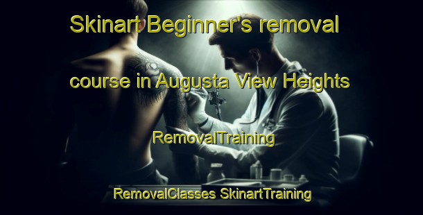 Skinart Beginner's removal course in Augusta View Heights | #RemovalTraining #RemovalClasses #SkinartTraining-United States