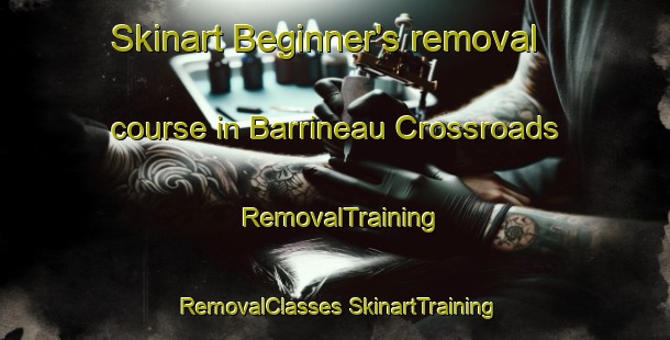 Skinart Beginner's removal course in Barrineau Crossroads | #RemovalTraining #RemovalClasses #SkinartTraining-United States