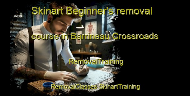 Skinart Beginner's removal course in Barrineau Crossroads | #RemovalTraining #RemovalClasses #SkinartTraining-United States