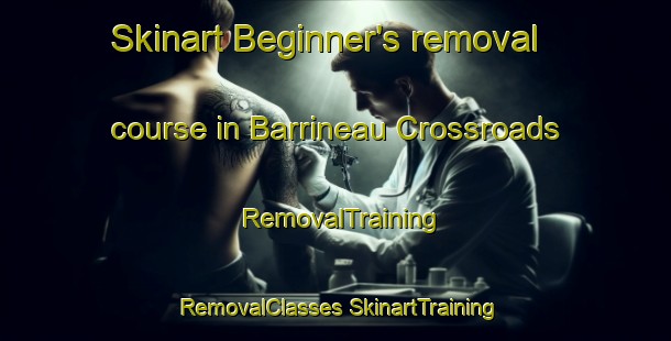 Skinart Beginner's removal course in Barrineau Crossroads | #RemovalTraining #RemovalClasses #SkinartTraining-United States