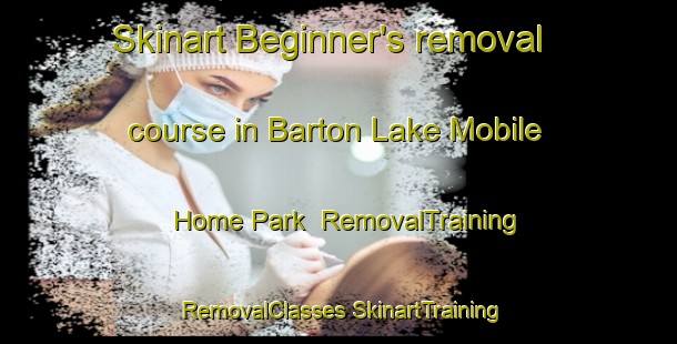 Skinart Beginner's removal course in Barton Lake Mobile Home Park | #RemovalTraining #RemovalClasses #SkinartTraining-United States