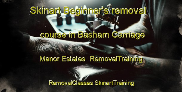 Skinart Beginner's removal course in Basham Carriage Manor Estates | #RemovalTraining #RemovalClasses #SkinartTraining-United States