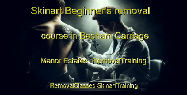 Skinart Beginner's removal course in Basham Carriage Manor Estates | #RemovalTraining #RemovalClasses #SkinartTraining-United States